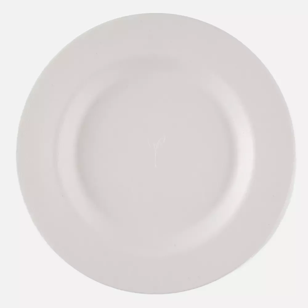 NATUREStar 410260, Gourmet Round Bagasse Plates, Ø 270 mm, image 1