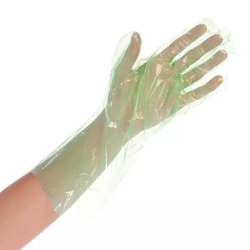 Hygostar 2551, Softline LDPE Gloves, image 3, gallery thumbnail
