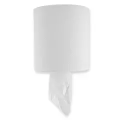 HygoClean 30411, 1-Ply Recycled Paper Centerfeed Paper Towel Rolls, White