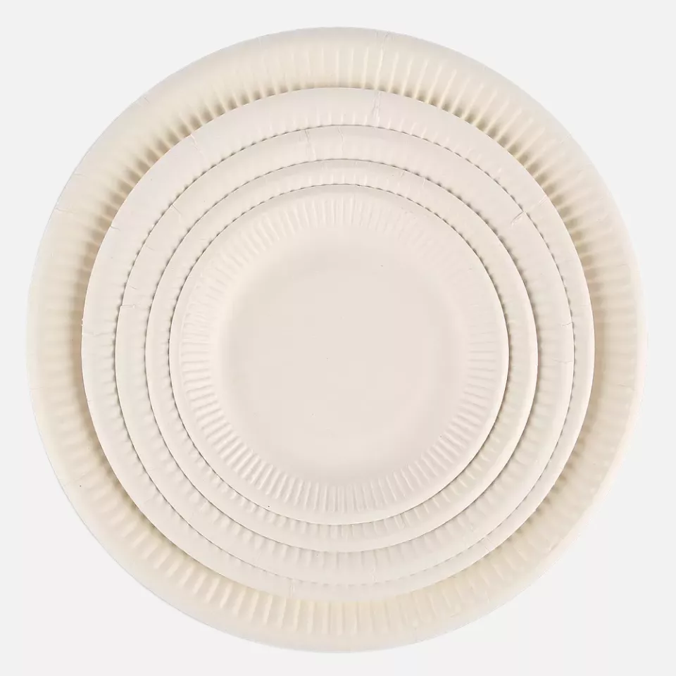 NATUREStar 410520, Organic Bagasse Snack Plates, Ø 206 mm, image 3, gallery thumbnail