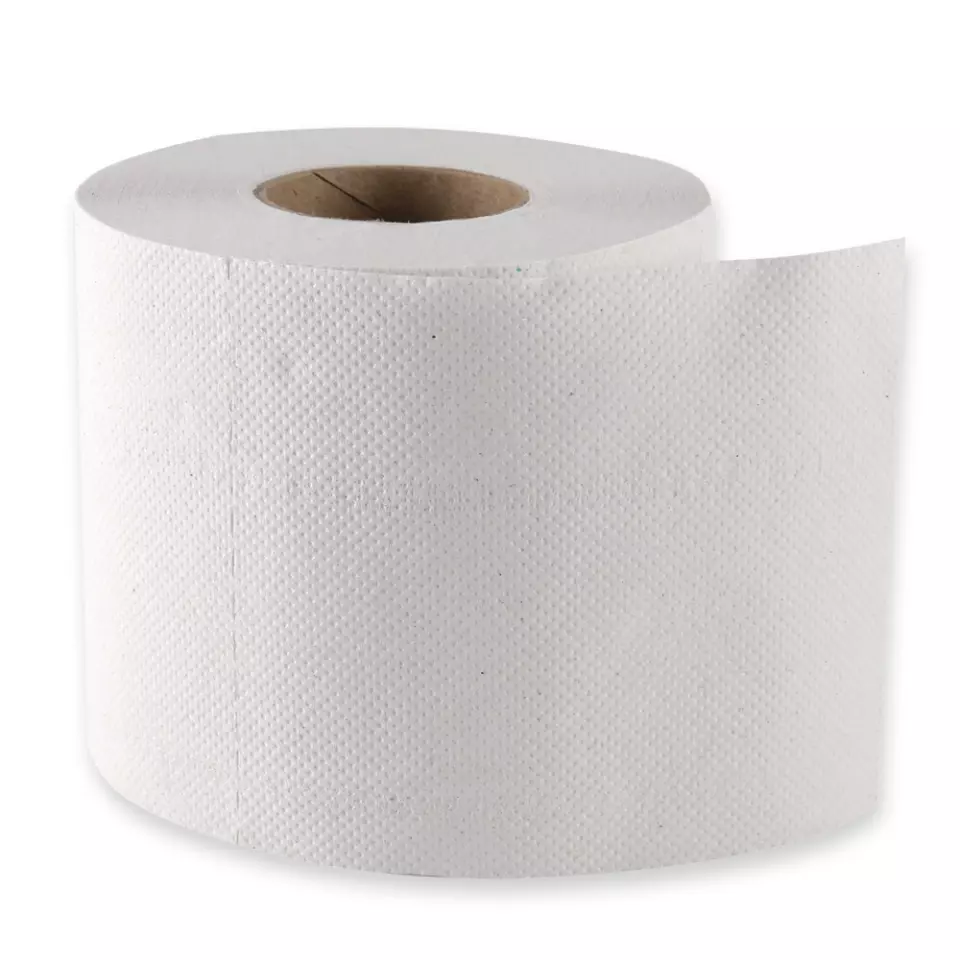 HygoClean 30422, Small Roll 2-Ply Recycled Paper Toilet Paper, Natural, image 1, gallery thumbnail