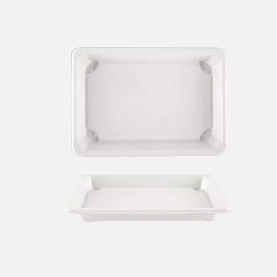 NATUREStar 411203, Bio Bagasse Sushi-Schalen, L (185 x 128 x 21 mm), image 2, gallery thumbnail