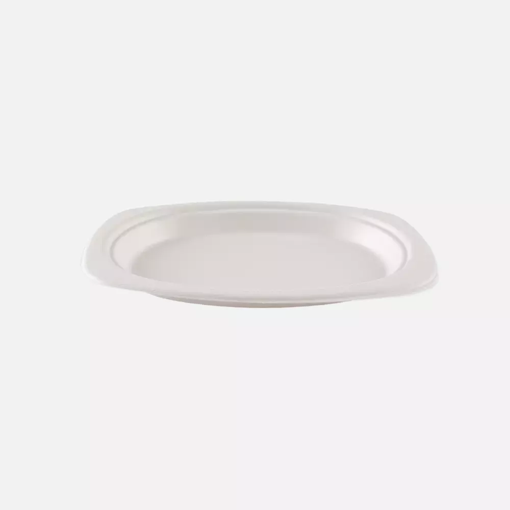 NATUREStar 41023, Oval Bagasse Plates, 230 x 165 mm, image 3