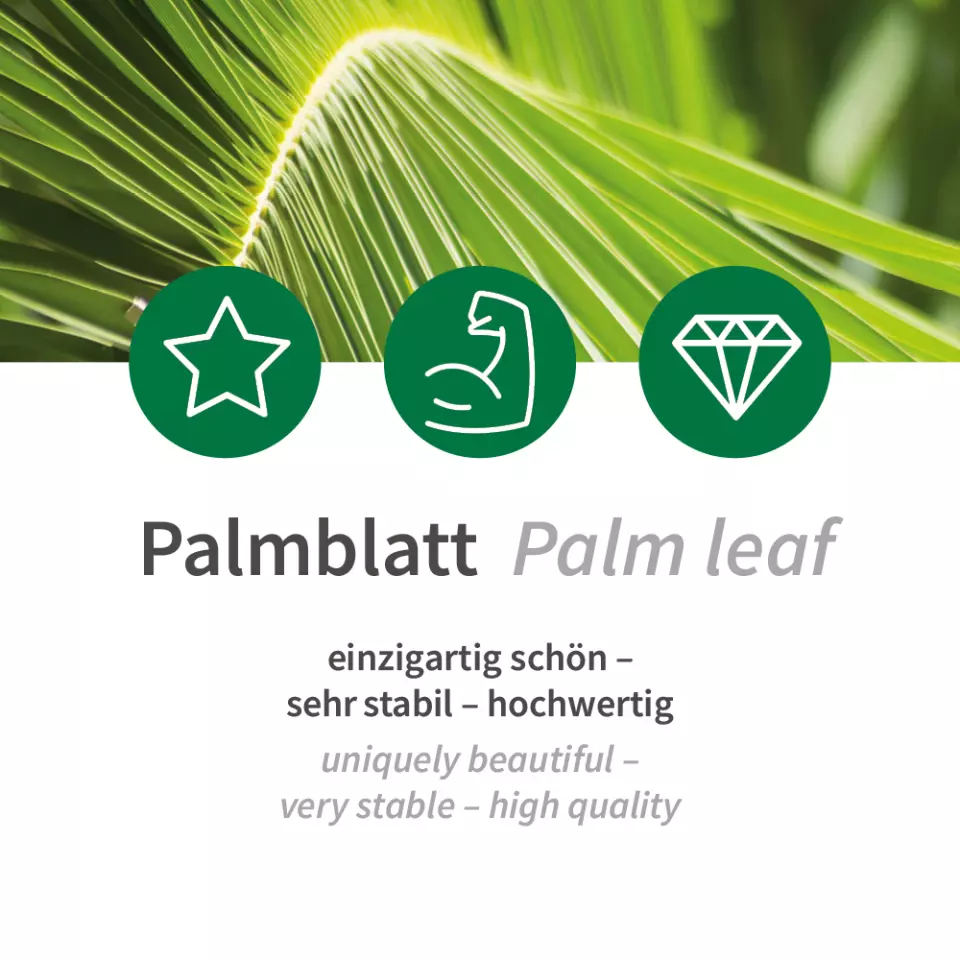 NATUREStar 410629, Bio Quadratische Palmblatt-Suppenteller, 500 ml, 200 x mm, image 5, gallery thumbnail