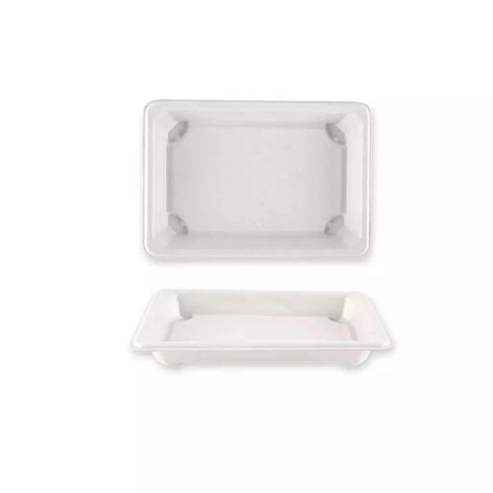NATUREStar 411202, Bio-Bagasse Sushi-Schalen, M, 165 x 115 x 21 mm, image 2