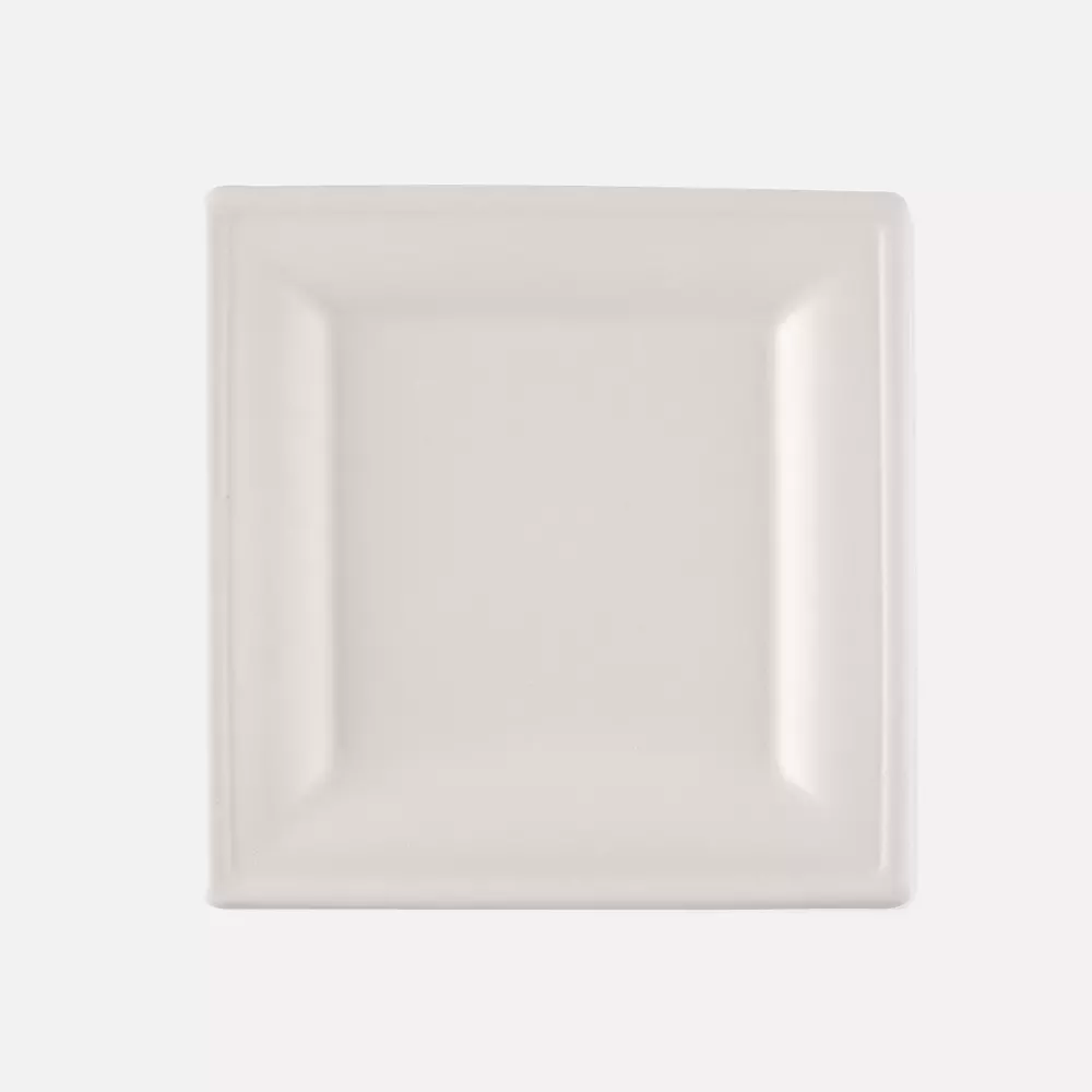 NATUREStar 41020, Quadratische Bio-Bagasse-Teller, 200 x 200 mm, image 1