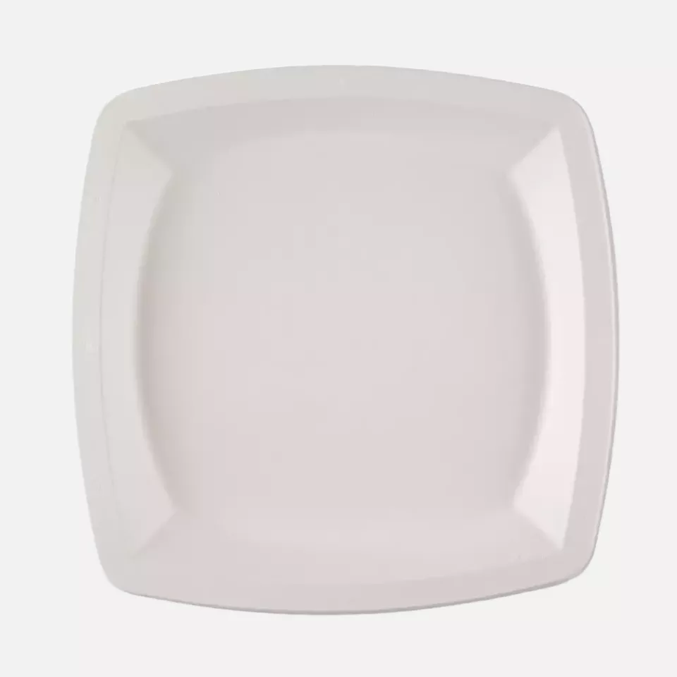 NATUREStar 41024, Square Bagasse Plates, 250 x 250 mm, image 1, gallery thumbnail