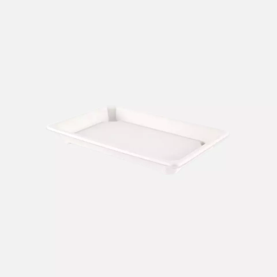 NATUREStar 411203, Bio Bagasse Sushi-Schalen, L (185 x 128 x 21 mm), image 1, gallery thumbnail