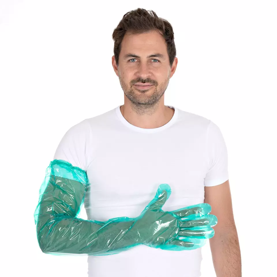 Hygostar 2621, Softline Long Plus LDPE Gloves, Green, image 1, gallery thumbnail