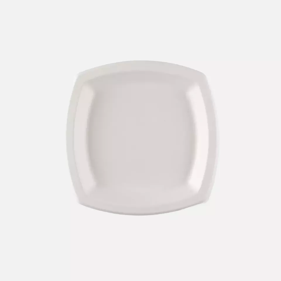 NATUREStar 41018, Quadratische Bagasse-Teller, 170 x mm, image 1, gallery thumbnail