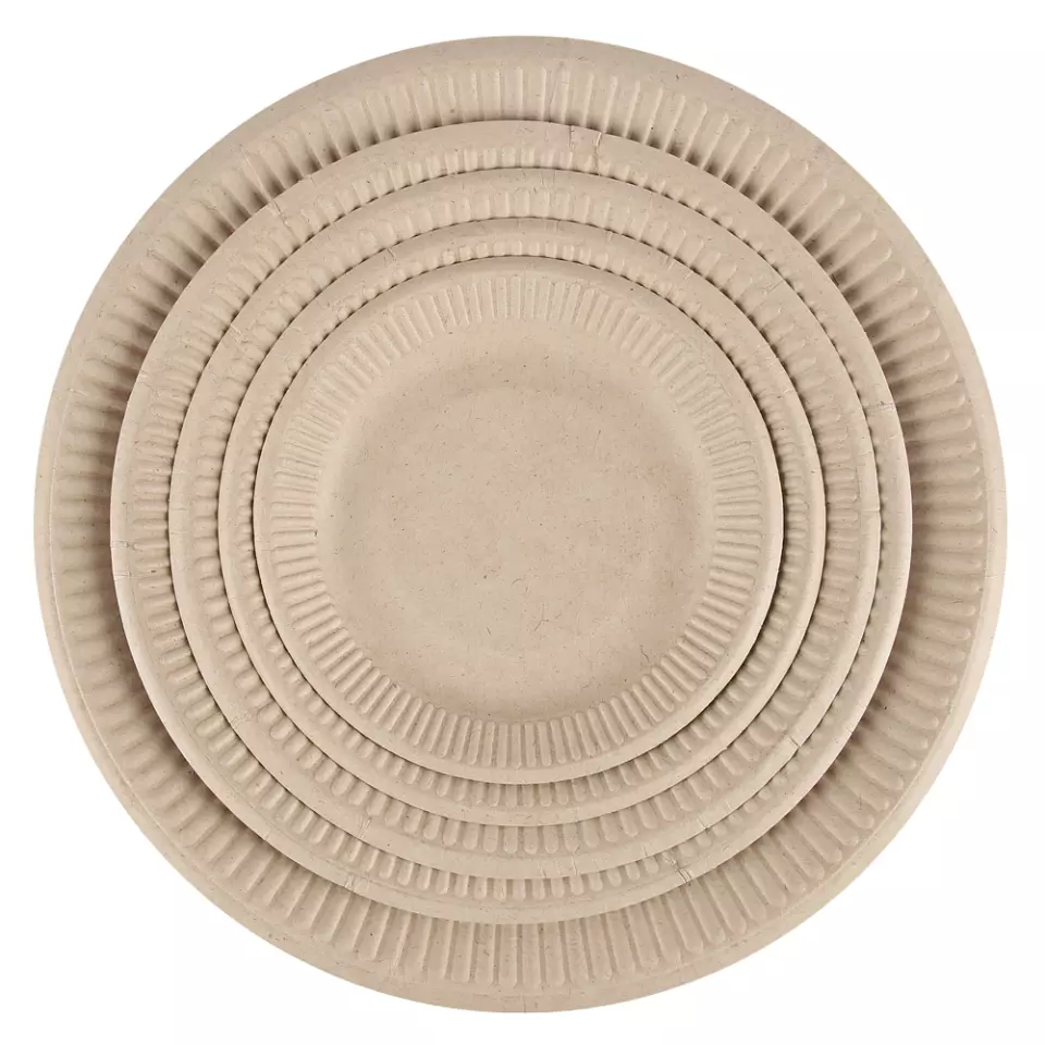 NATUREStar 410515, Bagasse Snack Plates, Ø 156 mm