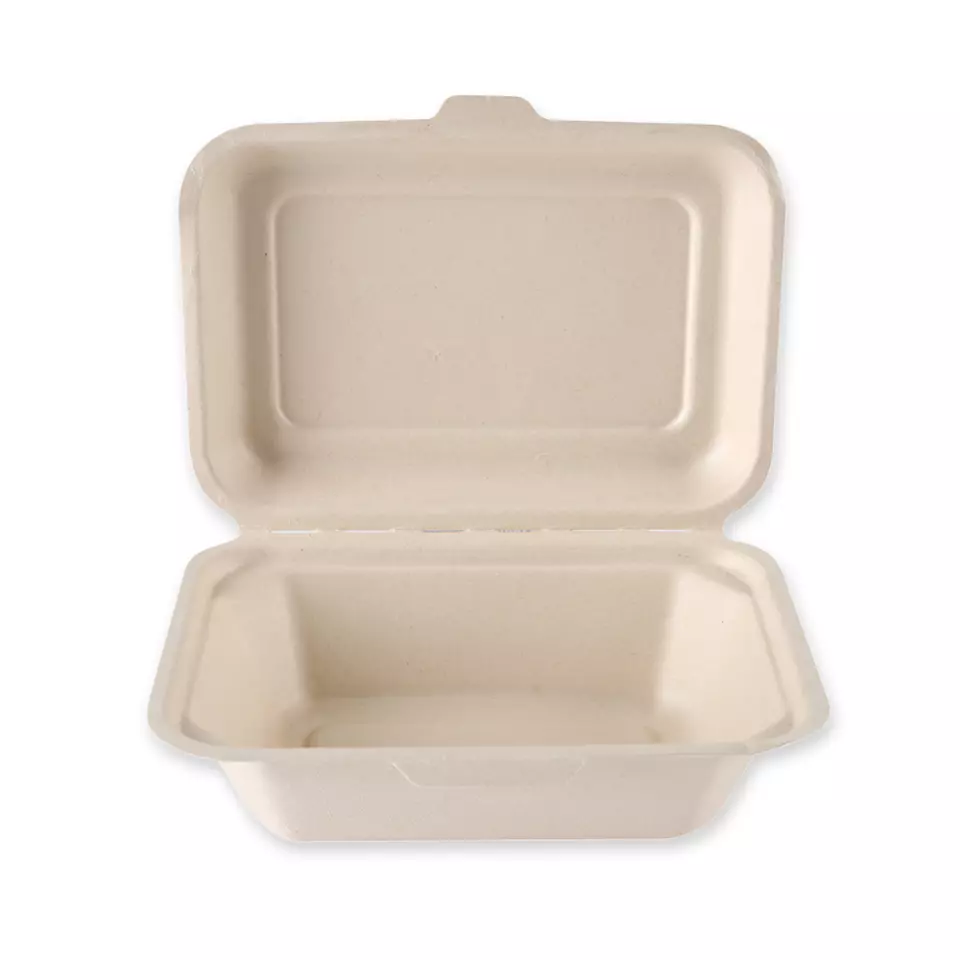 NATUREStar 412185, Bagasse Organic Hinged Lid Menu Boxes, image 1, gallery thumbnail