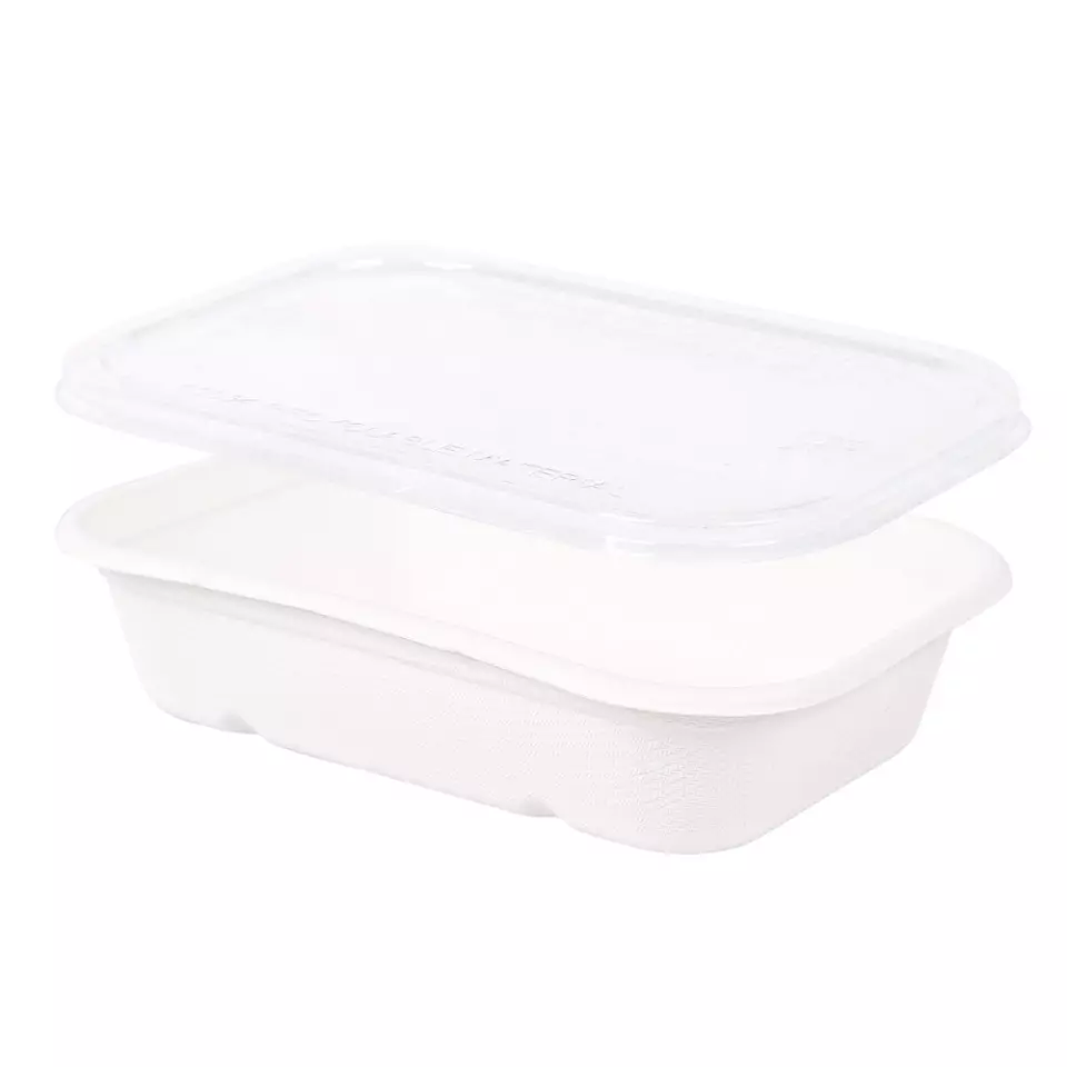 NATUREStar 41145, Casa Organic Bagasse Trays, 500 ml, 175 x 120 x 38 mm, image 2, gallery thumbnail