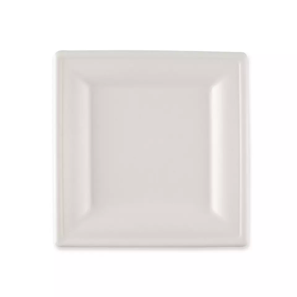 NATUREStar 41020, Organic Square Bagasse Plates, 200 x 200 mm, image 1, gallery thumbnail