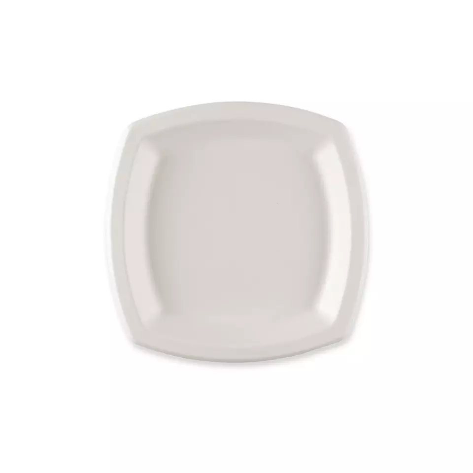 NATUREStar 41018, Square Bagasse Plates, 170 x mm, image 1, gallery thumbnail