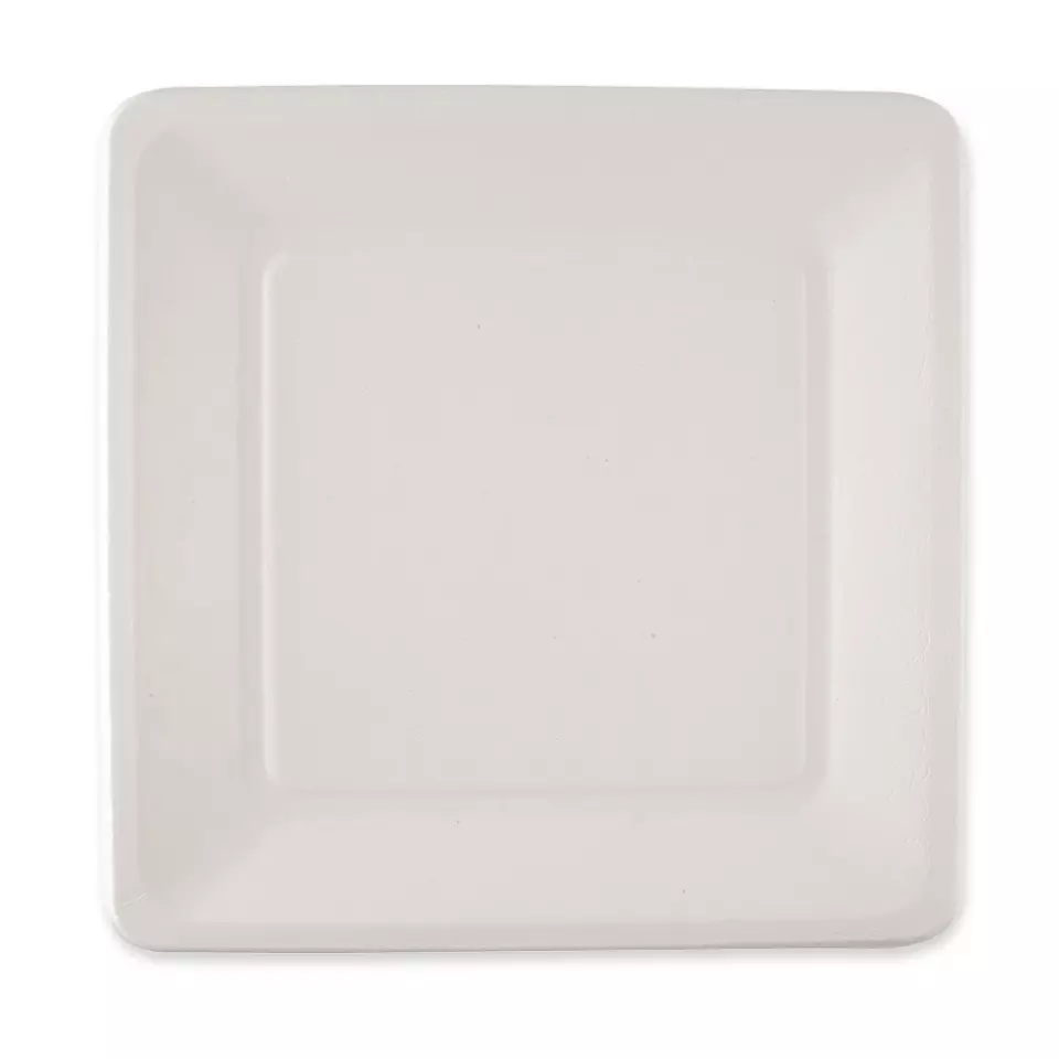 NATUREStar 41028, Organic Bagasse Plates, 260 x 260 mm