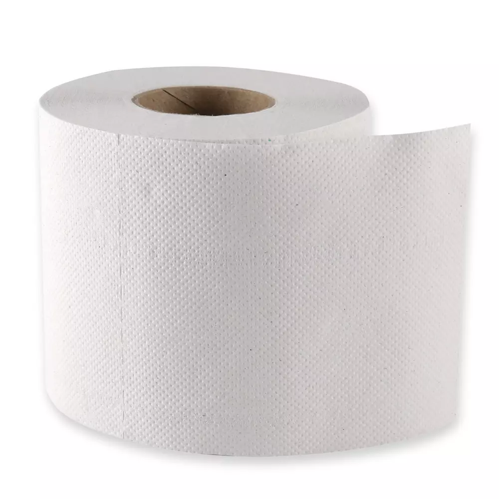 HygoClean 30422, Small Roll 2-Ply Recycled Paper Toilet Paper, Natural, image 1