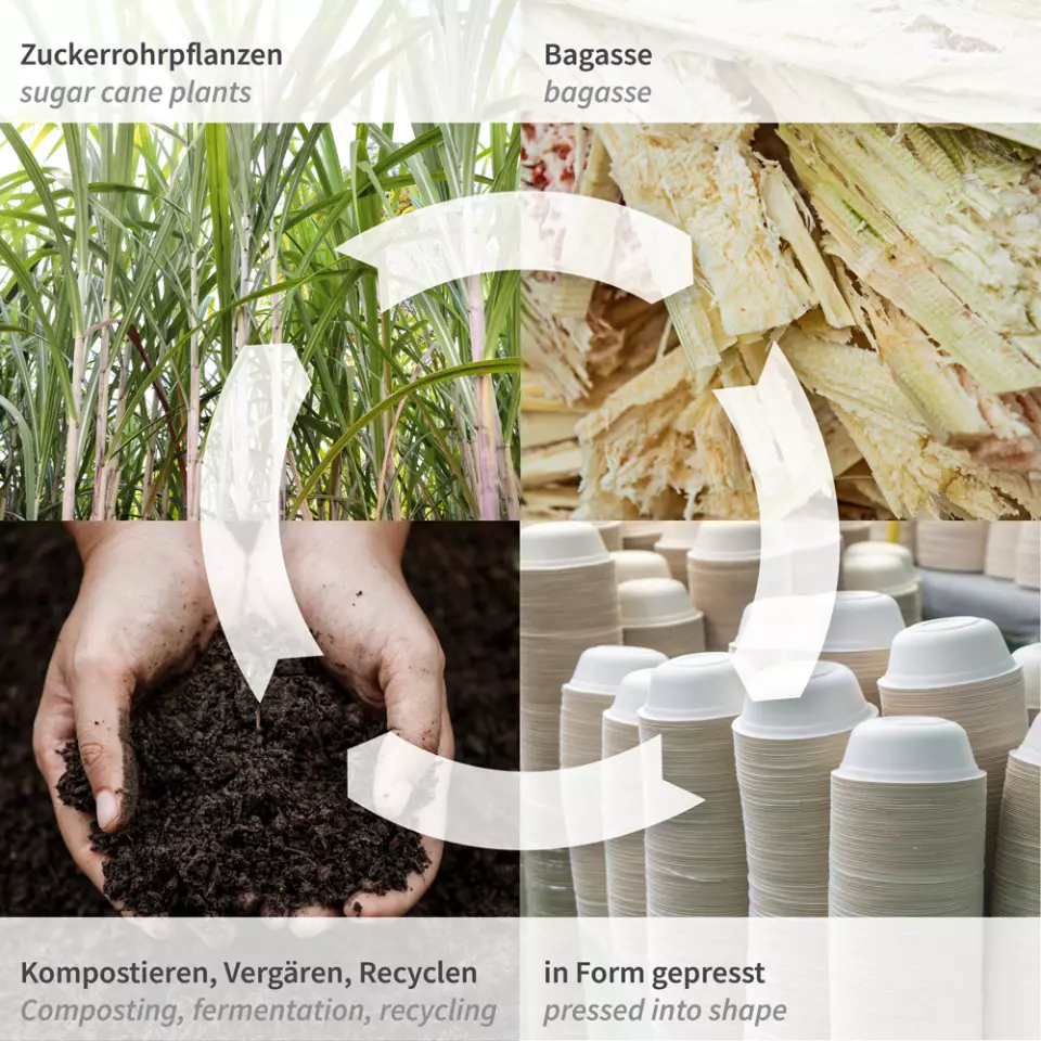 NATUREStar 41215, Organic Hinged Lid Bagasse Hamburger Boxes, 150 x 85 mm, image 7, gallery thumbnail