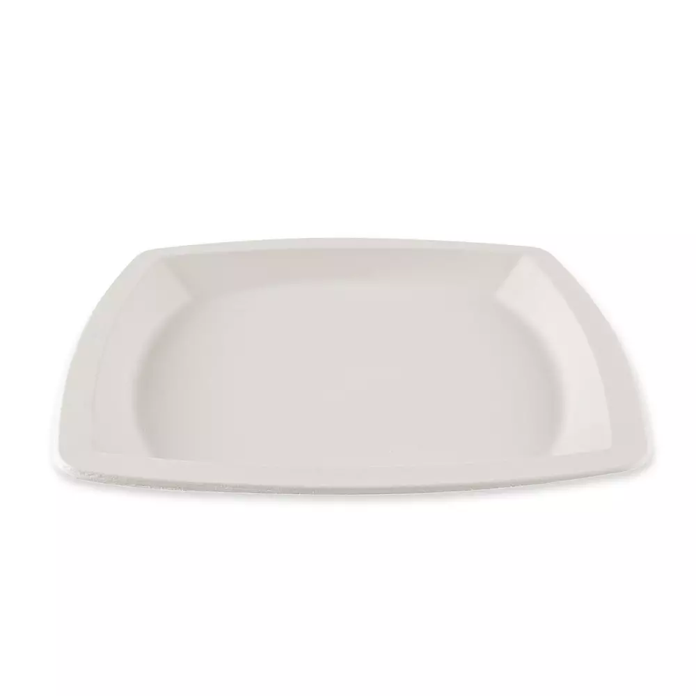 NATUREStar 41024, Square Bagasse Plates, 250 x 250 mm, image 3