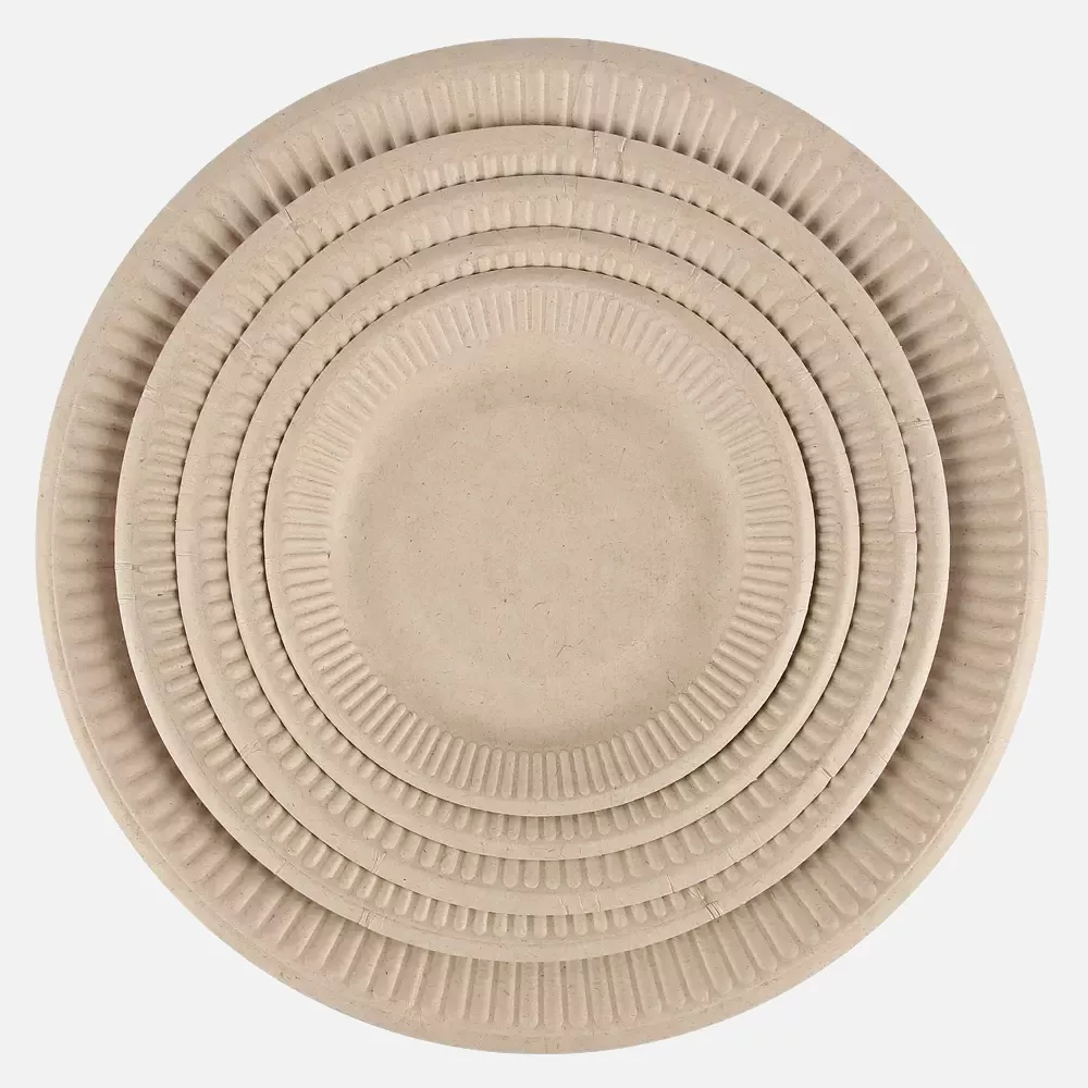NATUREStar 410520, Organic Bagasse Snack Plates, Ø 206 mm, image 1