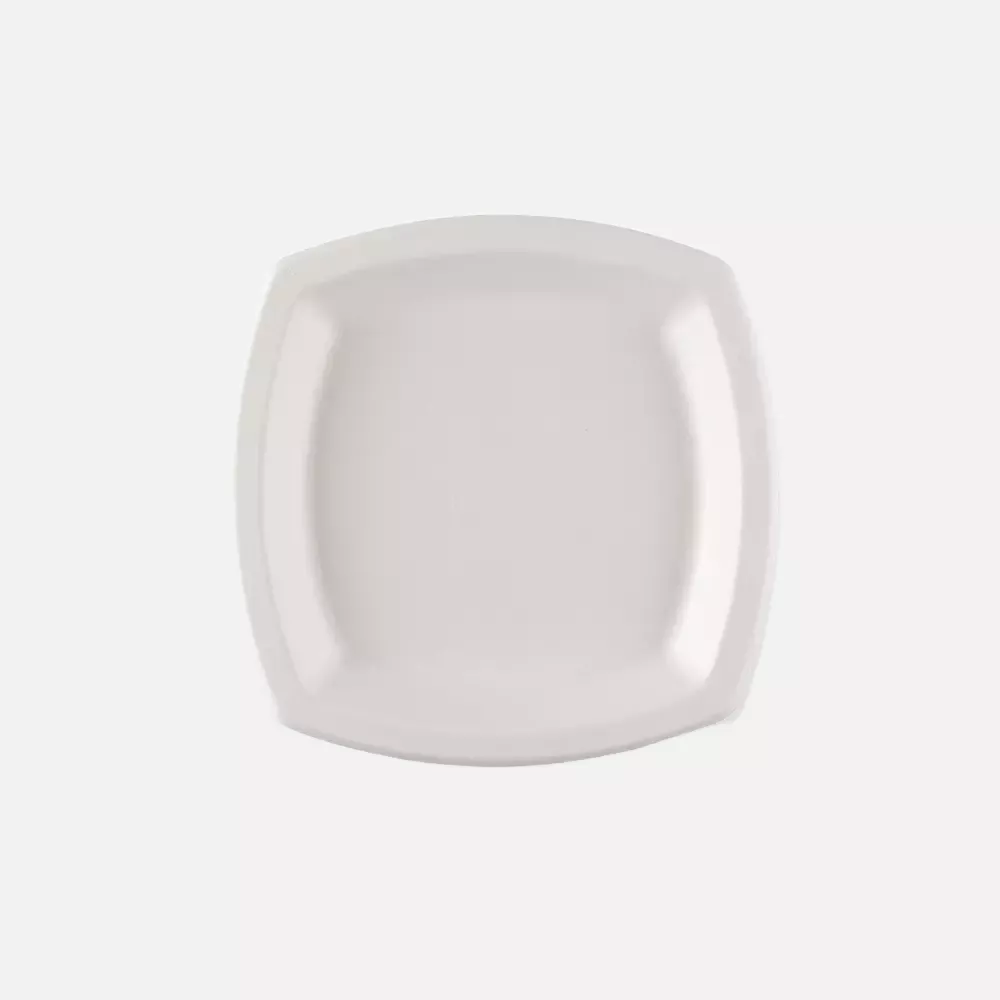 NATUREStar 41018, Quadratische Bagasse-Teller, 170 x mm, image 1