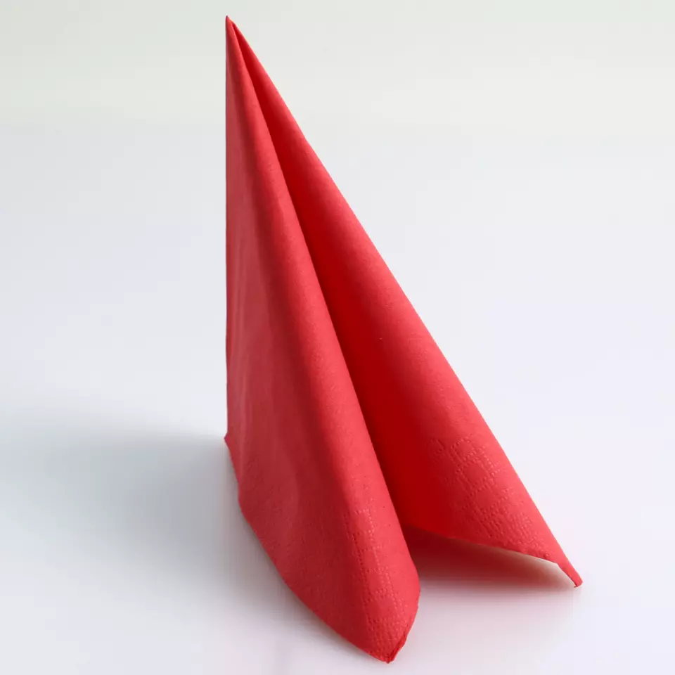 Franz Mensch 30521, Eleganza Cellulose Napkins, FSC®-mix, image 5, gallery thumbnail