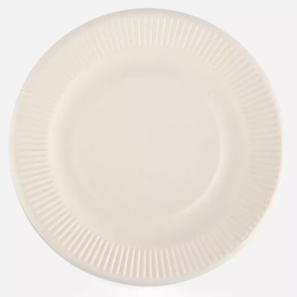 NATUREStar 410520, Organic Bagasse Snack Plates, Ø 206 mm, image 2, gallery thumbnail