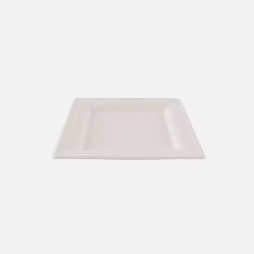 NATUREStar 41020, Quadratische Bio-Bagasse-Teller, 200 x 200 mm, image 3
