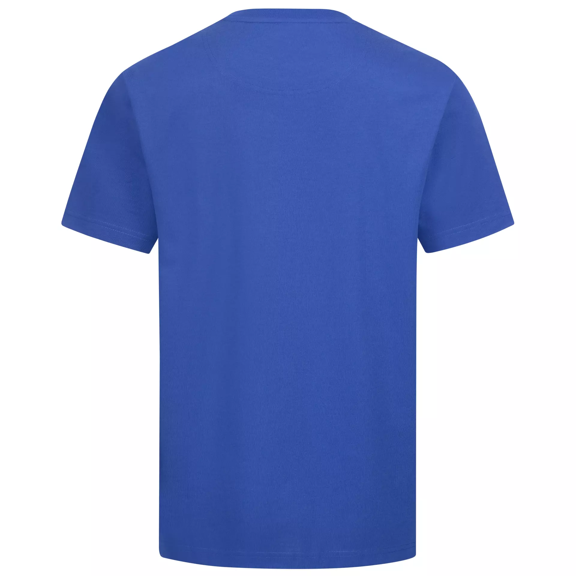 Nitras 7050-2000, MOTION TEX PLUS T-Shirt, Royal Blue, image 2