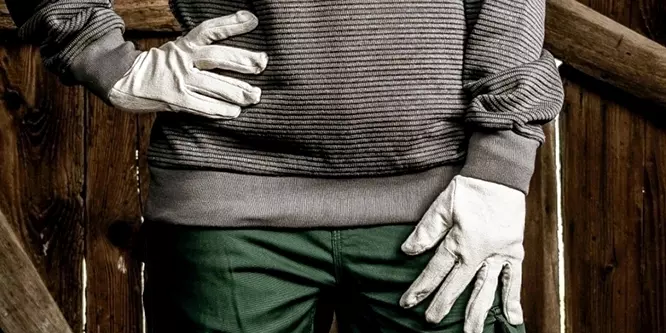 Nitras 501, Cotton Gloves, image 3