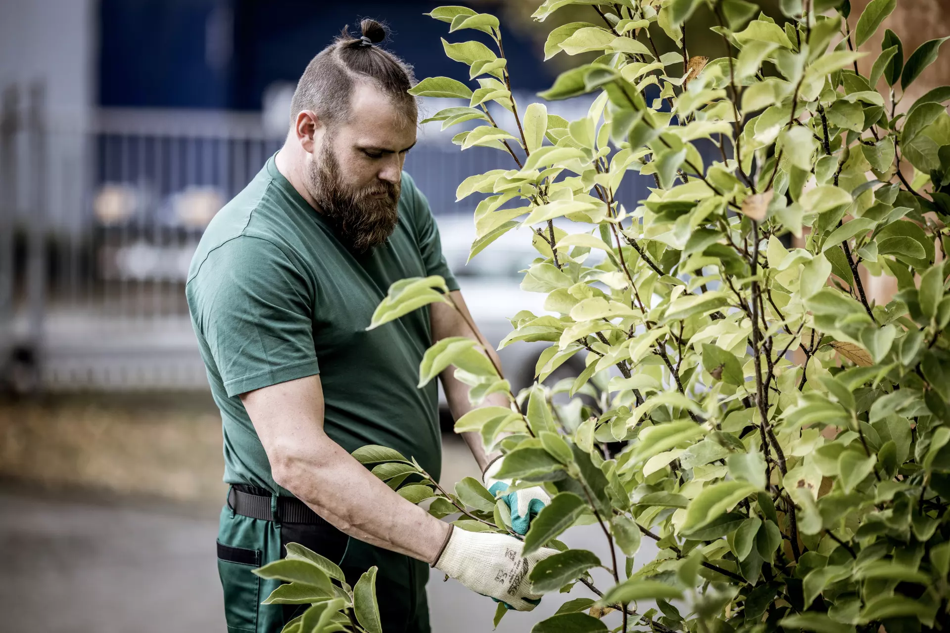 Nitras 7005-3000, MOTION TEX LIGHT T Shirt, Green, image 3