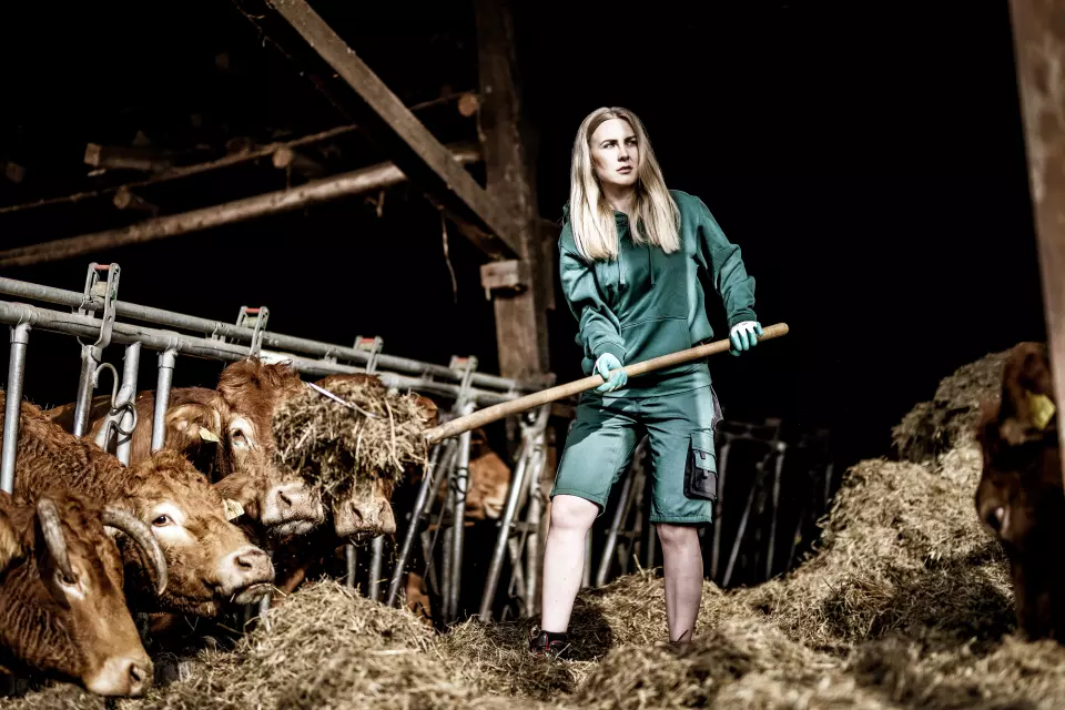 Nitras 7604, MOTION TEX PLUS Work Trousers, Green, image 3, gallery thumbnail