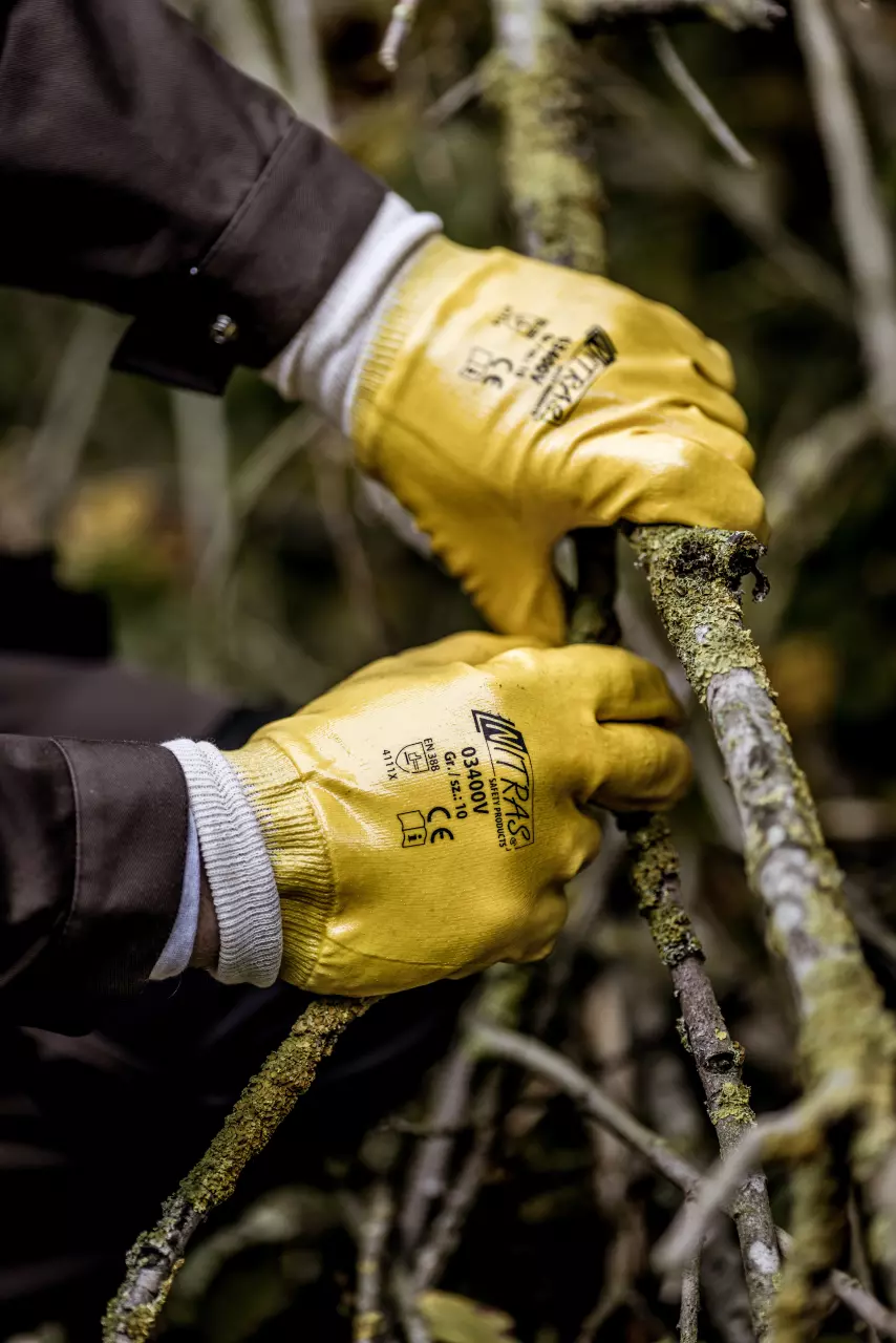 Nitras 03400V, Nitrile Gloves Cotton, Yellow, image 2, gallery thumbnail