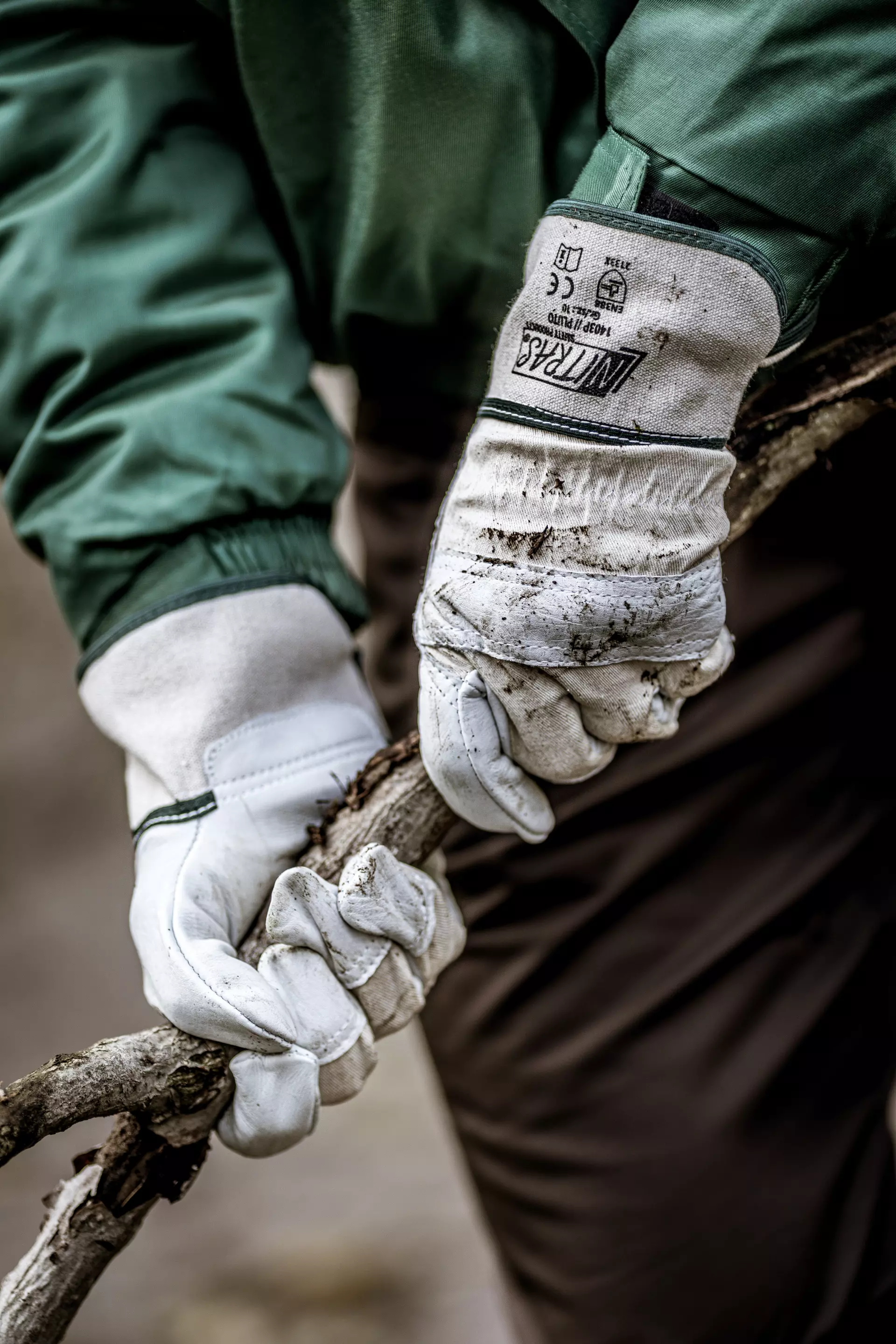 Nitras 1403P, PLUTO Cow Grain Leather Gloves, Size 10, image 2