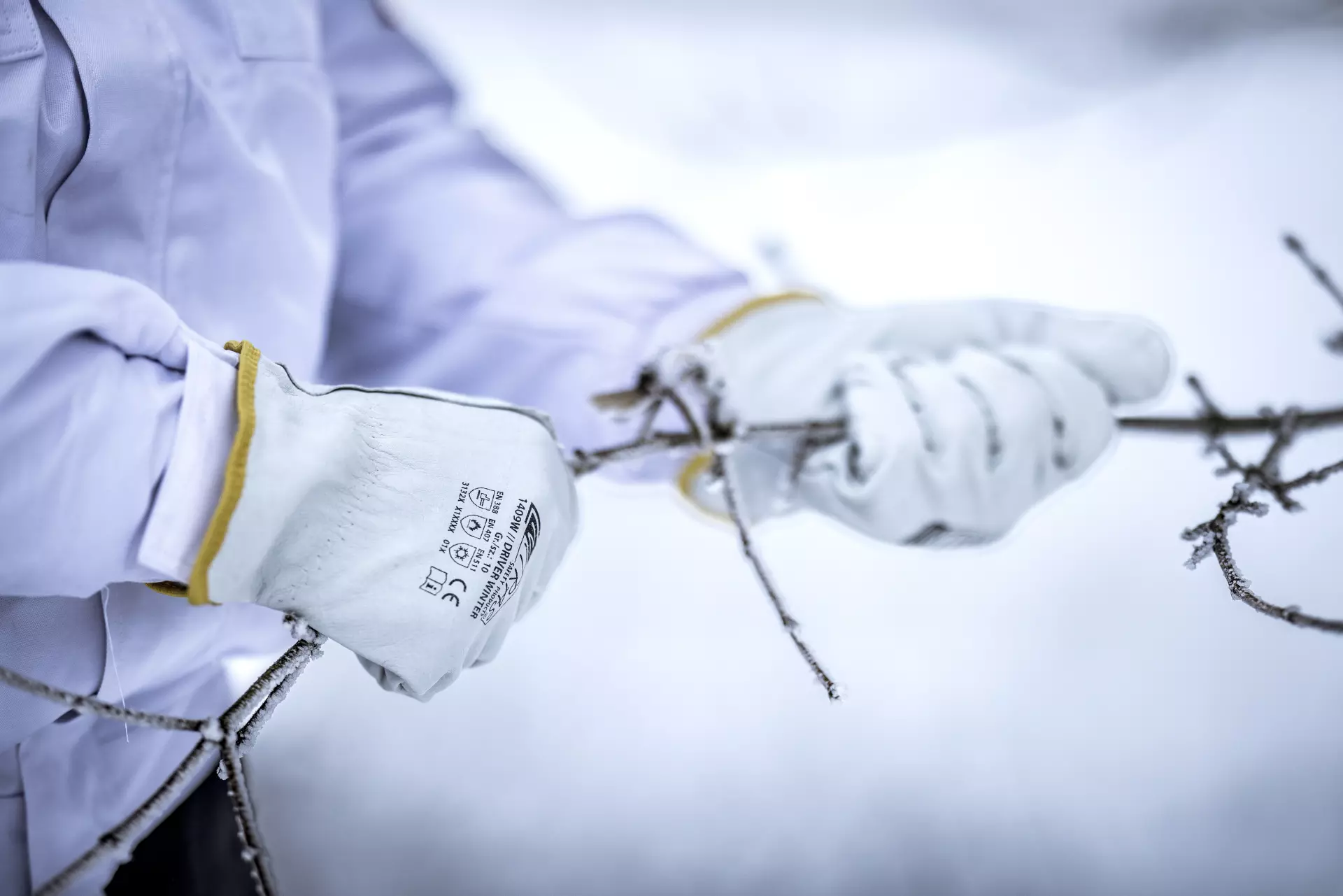 Nitras 1409W, DRIVER WINTER Cow Grain Leather Gloves, Grey, image 2