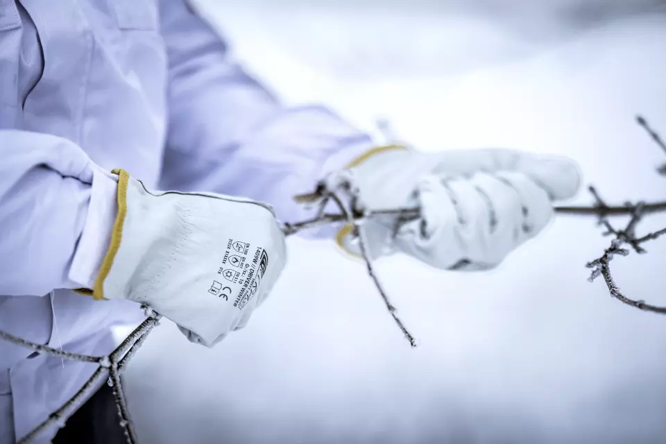 Nitras 1409W, DRIVER WINTER Cow Grain Leather Gloves, Grey, image 2, gallery thumbnail