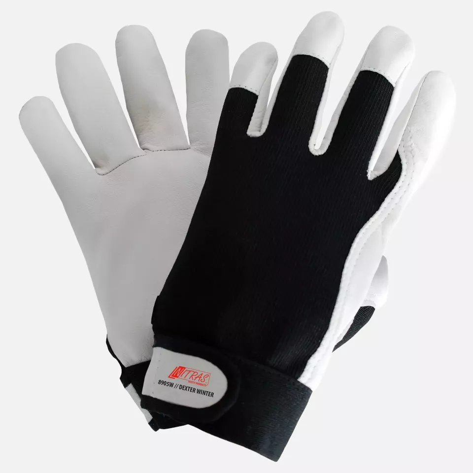 Nitras 8905W, DEXTER WINTER Mechanic Gloves, Black, image 1, gallery thumbnail