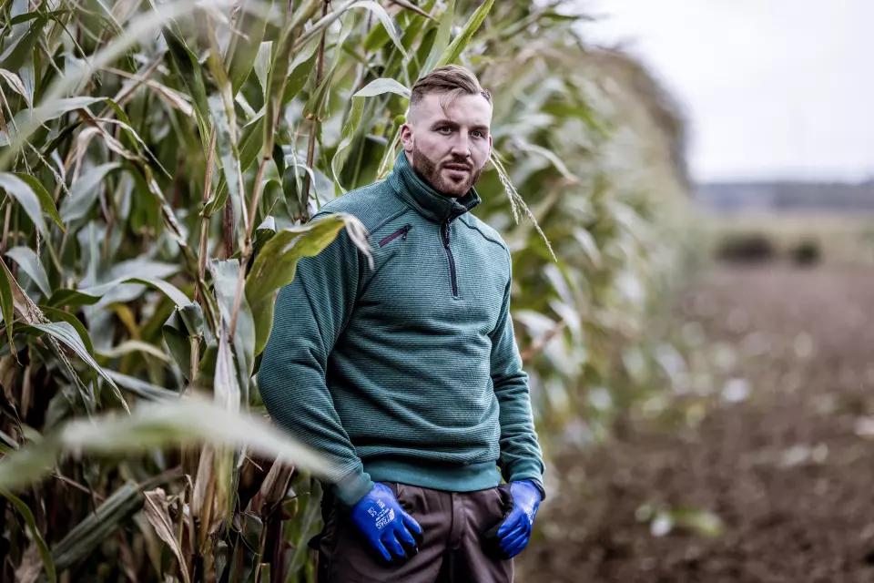 Nitras 7034, MOTION TEX PLUS Pullover, Green, image 3, gallery thumbnail