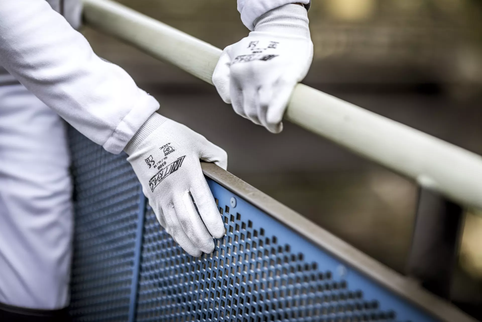 NITRAS 6300, Cut protection Gloves, White, image 2