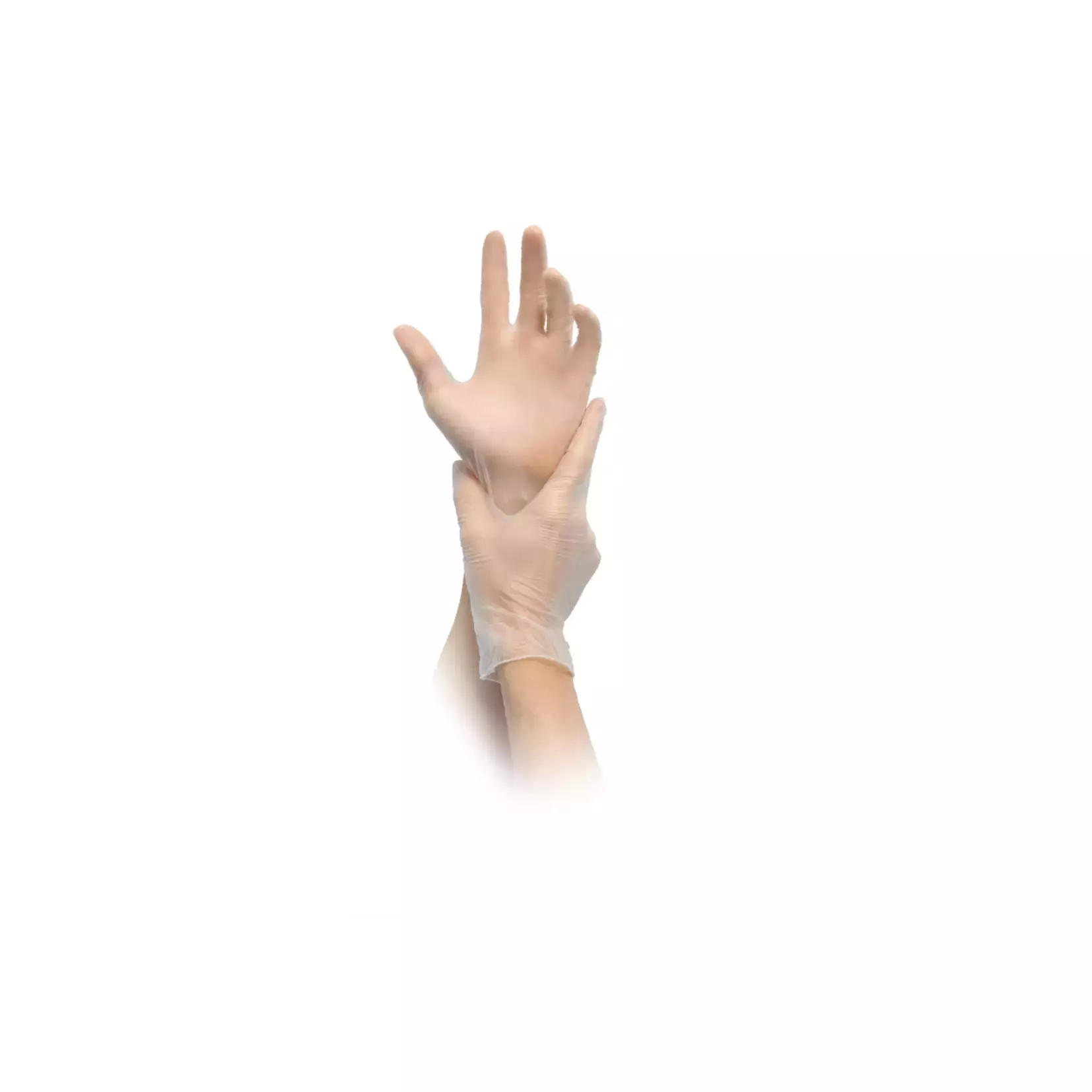 MaiMed 740-VAR, Vinyl PF Examination and Protective Gloves, image 2